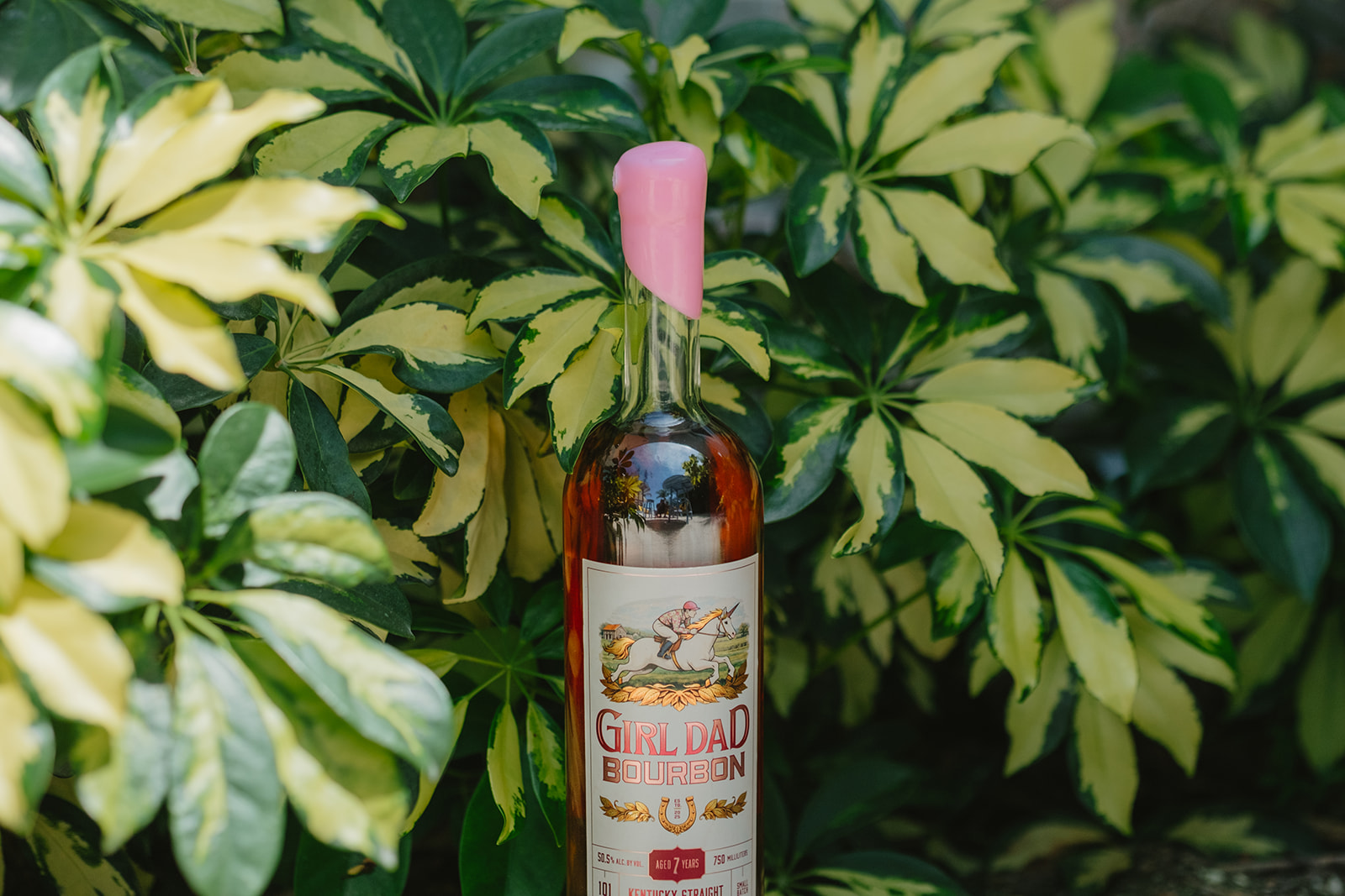 Girl Dad Bourbon bottle with signature pink wax seal